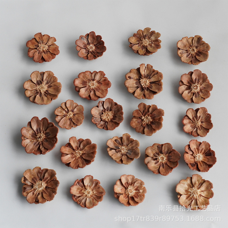 Pre-Cut Pine Cones, Pine Cone Flowers, Pine Cones for Kindergarten Crafts, DIY Pine Cone Painting Materials Pre-Cut Pine Cones, Pine Cone Flowers, Pine Cones for Kindergarten Crafts, DIY Pine Cone Painting Materials