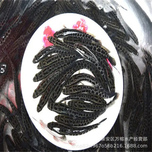 �s�����~����~�� �������l���~��