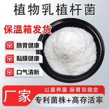 ֲ����ֲ�U��1000�| �߻������������ɷ� �������ʳƷ��Դ�^�S��