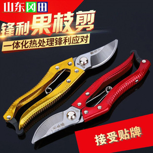 �F؛���l��֦������֦����� �@�ֹ����ü�������