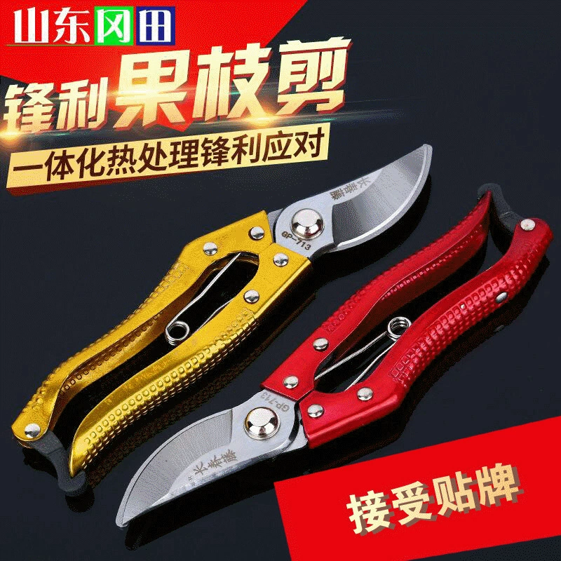 В наличии оптом секаторы ножницы для фруктовых веток ножницы для деревьев садовые ножницы для фруктовых деревьев ножницы для цветов