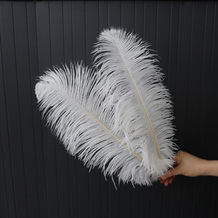 �S��ֱ�N��ɫ�r�Bë35-40cm��̨�ݳ�����o�ϻ�c�����b���ë
