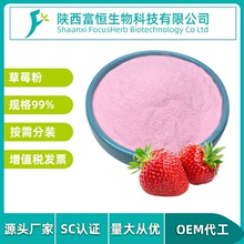 草莓粉99% 草莓果粉 SD草莓粉 草莓濃縮噴霧粉 固體飲料 調味配料