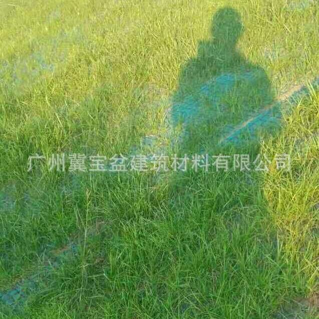 广州   植物纤维毯  椰丝生态毯  护坡