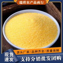 河南特产玉米糁新苞谷糁包谷饭棒子面小碴子农家特细玉米糁糊涂粥