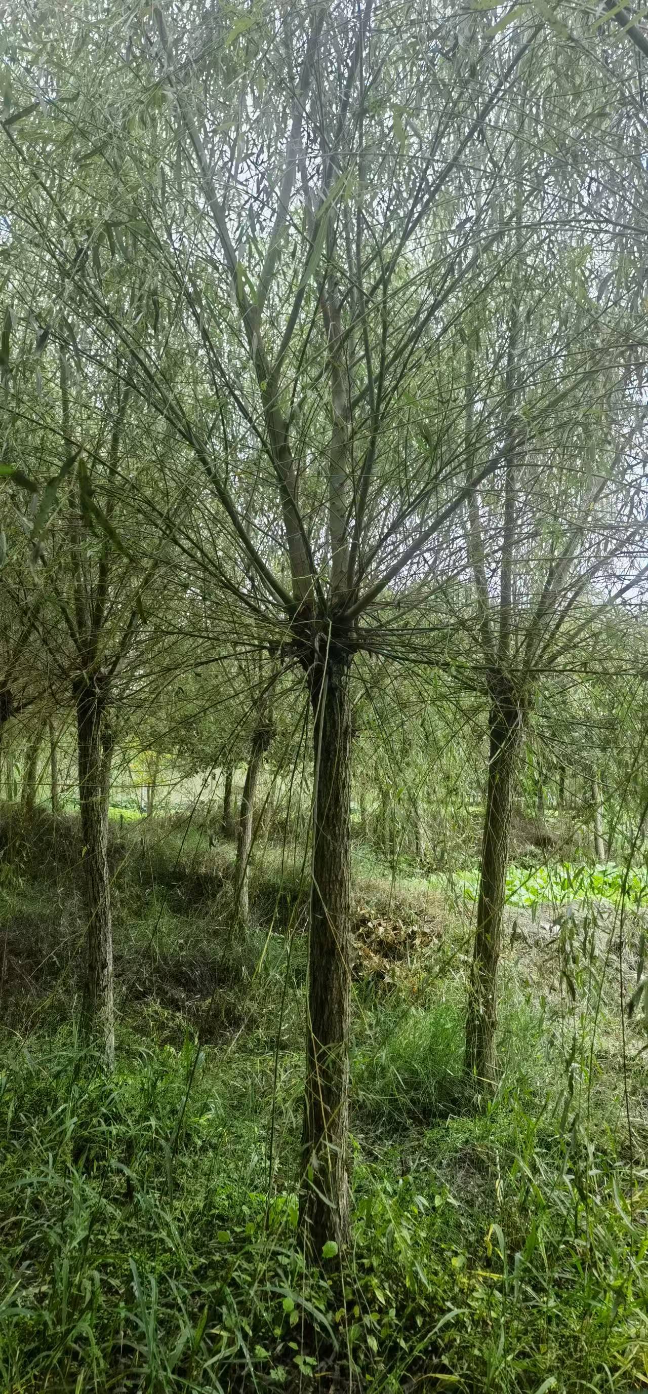 c79902efd428817031d0b3a02c1369