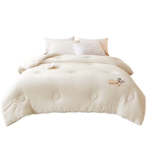 Xinjiang Cotton Washed Cotton Mattress Pad Cotton Filling Spring and Autumn Single and Double Size Quilt Plus Warmth Pure Cotton Winter Quilt Core