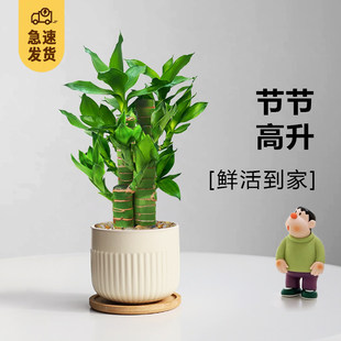 ���F���������Կ͏d�k���҃Ȳ�ו�������B����С�Gֲ���ļ�����
