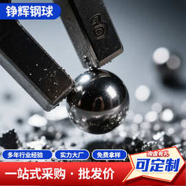 弹弓钢珠碳钢精密钢珠现货直发亮面耐磨实心抛光碳钢钢珠滚珠铮辉