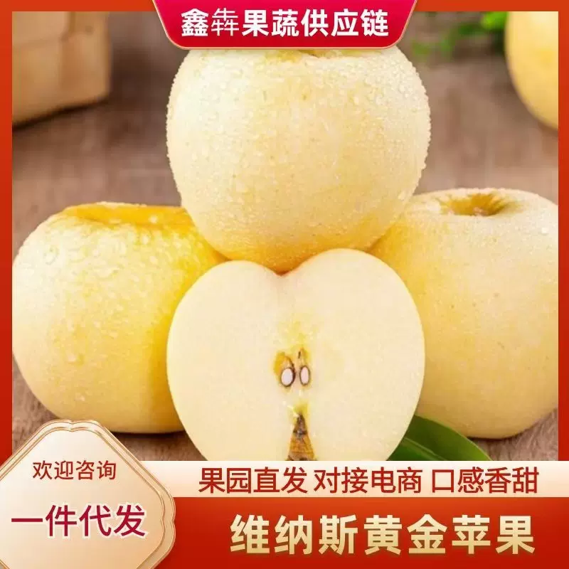 黄金维纳斯苹果5斤礼盒山东烟台冰糖心白色新鲜水果批发黄金果