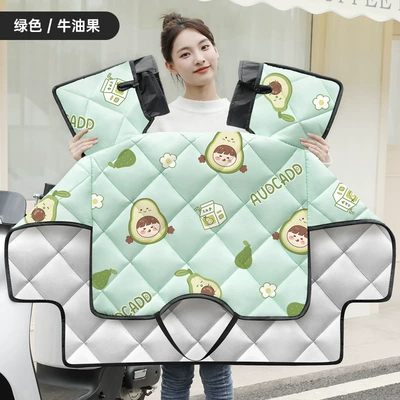Motorcycle front windshield Double-Sided Waterproof Four-Season Universal Windproof Quilt - green-avocado-extra-thick-all-season-double-sided-waterproof-double-sleeve-windproof