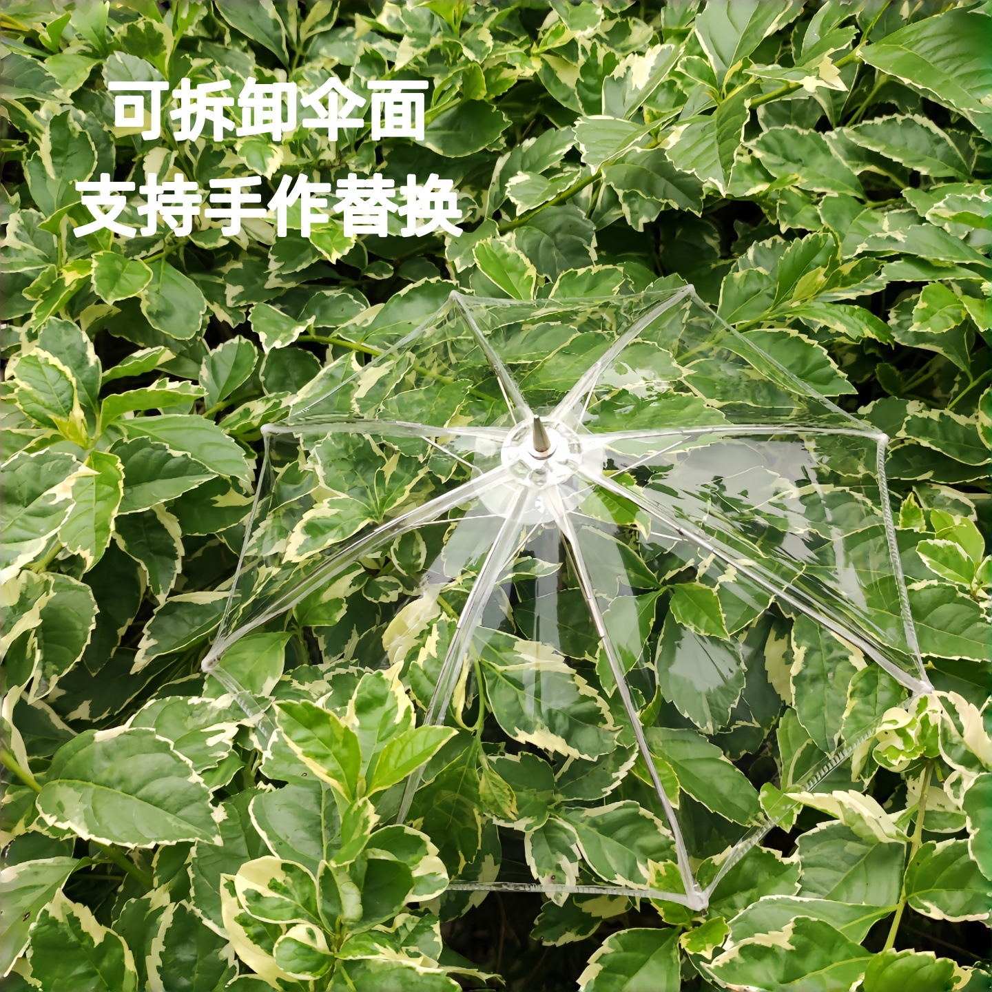 bjdɡ������4��͸�����մ����������Сɡ΢�������ɿ��������ɡ