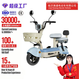 电动自行车;电动三轮车;电动摩托车