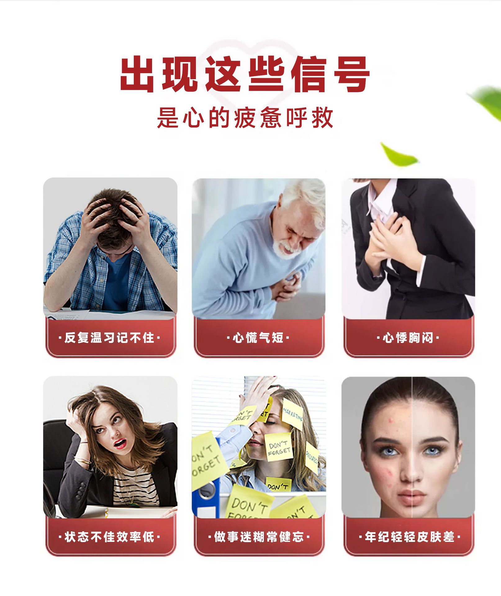 芯安宁辅酶q10