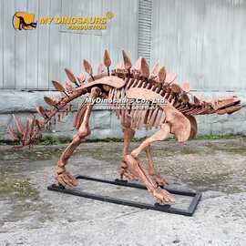 恐龙拼装骨架模型 古生物仿真复制品剑龙骨架 仿真玻璃钢骨骼化石