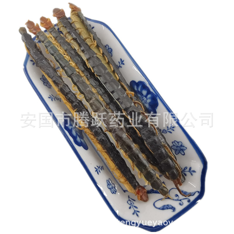 Dried Whole Centipede Wu Gong 500g Chinese Herbal Material Scolopendra Subspinipes Mutilans quality and texture