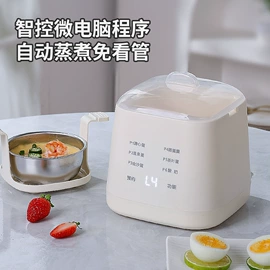 电煮锅;养生壶;煮蛋器