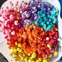 A级永生满天星工厂直销摆摊手工花店手工艺品DIY花材拍摄摆件道具