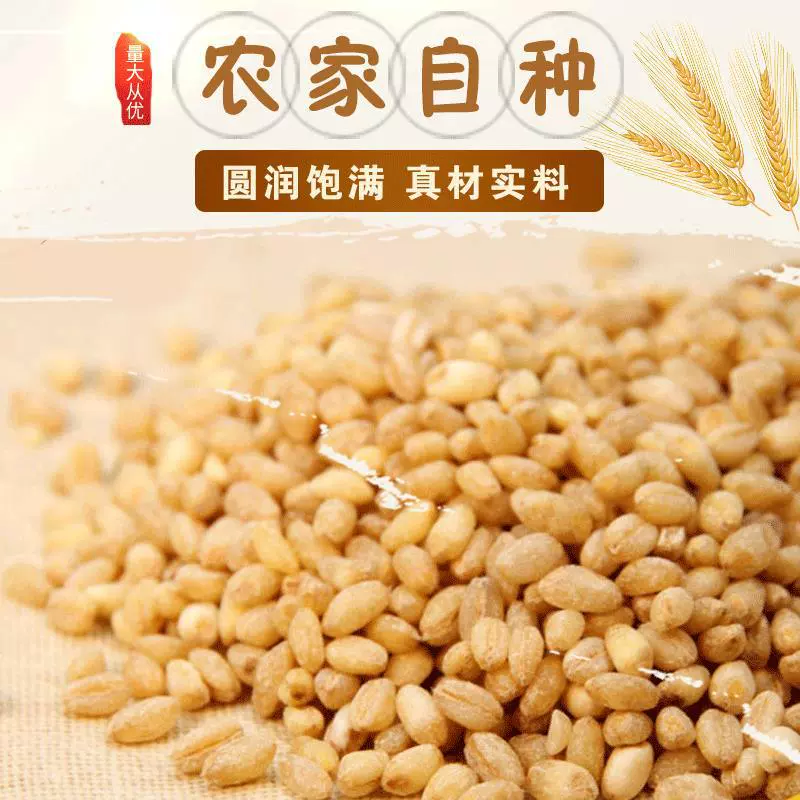 Производитель производит пшеничную кашу с восемью сокровищами