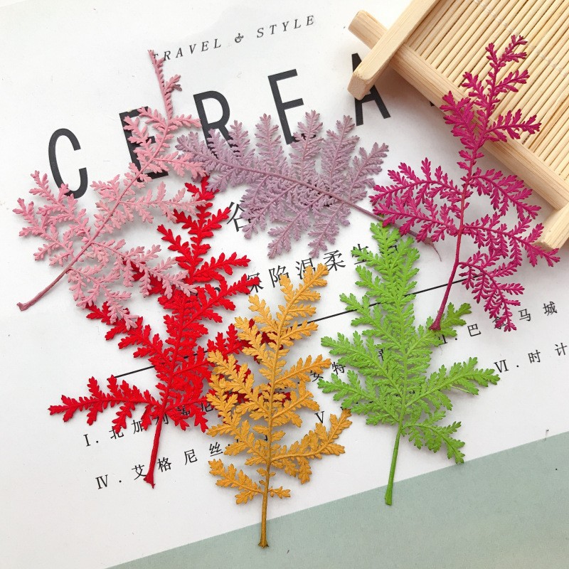 O1CN01xk4yHb2DdxvoWX9ro_!!2211