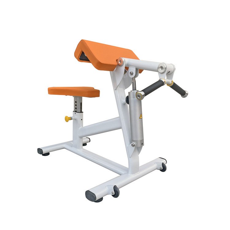 El 720 Entrenador bíceps
