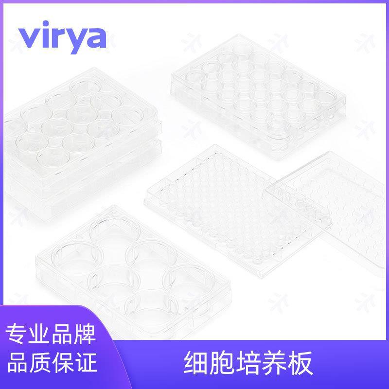 Virya细胞培养板3510609 细胞培养板  等离子处理 6孔板