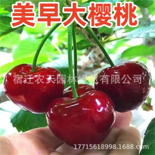 ���������Ʒ�N ���������Ի��ڷ� �����S�aɣ���ȴ���Ҙ���