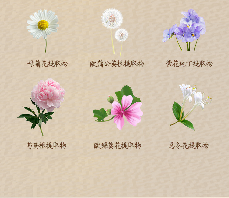 一键复制_20230218110148