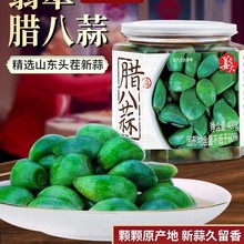 腊八蒜翡翠源头直发姜老大糖蒜山东咸菜下饭菜厂批发