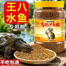 甲鱼苗饲料幼甲开口水鱼团鱼王八珍珠中华鳖饲料小乌龟粮食包邮