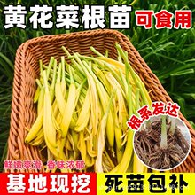 �S���˸���N���ᘲ˽�ᘻ��������N�ѬF�ڬF�l���ɻ����K����