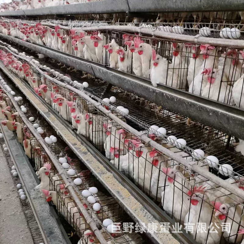 微信图片_202208311137306