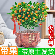 �ļ��������С�۟􎧹��l؛��ʳ���̨�k���҃ȿ͏d��ֲؔ���辰