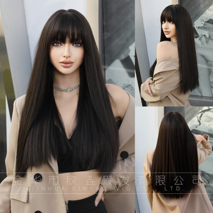 Foreign trade European and American fashion long hair wig women's black brown long straight hair simulation full head wig factory wholesale