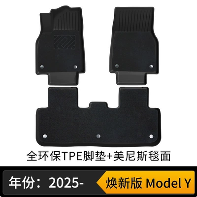 New Tpe All-Weather Material Car Universal Foot Pad - new-model-y-double-layer-floor-mats-wear-resistant-king