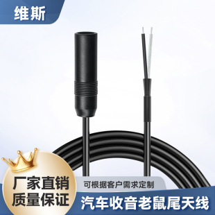 Spot Wholesale Electric Three-Wheeled Elderly Car Fm Radio Navigation Car Antenna Mouse Tail Radio Antenna