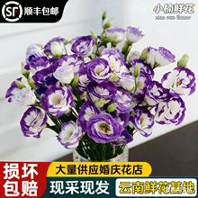 ���r��۹��r�����l��ϻ���ֱ���r�л��ҾӲ廨��c���û����仨