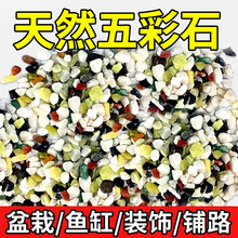 ��Ȼ��ɫСʯ���~���쾰�~��b�ɰ�껨ʯ��ɫС�w���B�����ʯ