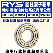 RYS ���ᴫ�� NJ NUP NU 2307 2308 2309 2310 2311 EM Բ������