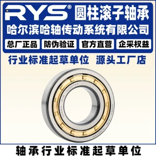 RYS 哈轴传动  NJ NUP NU N 2322 2324 2326 E M EM 圆柱滚子