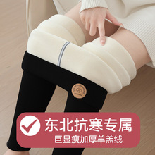 �غ�800�����q��ů�|����ѝ���������ӽq�Ӻ���ѝŮ�⴩����