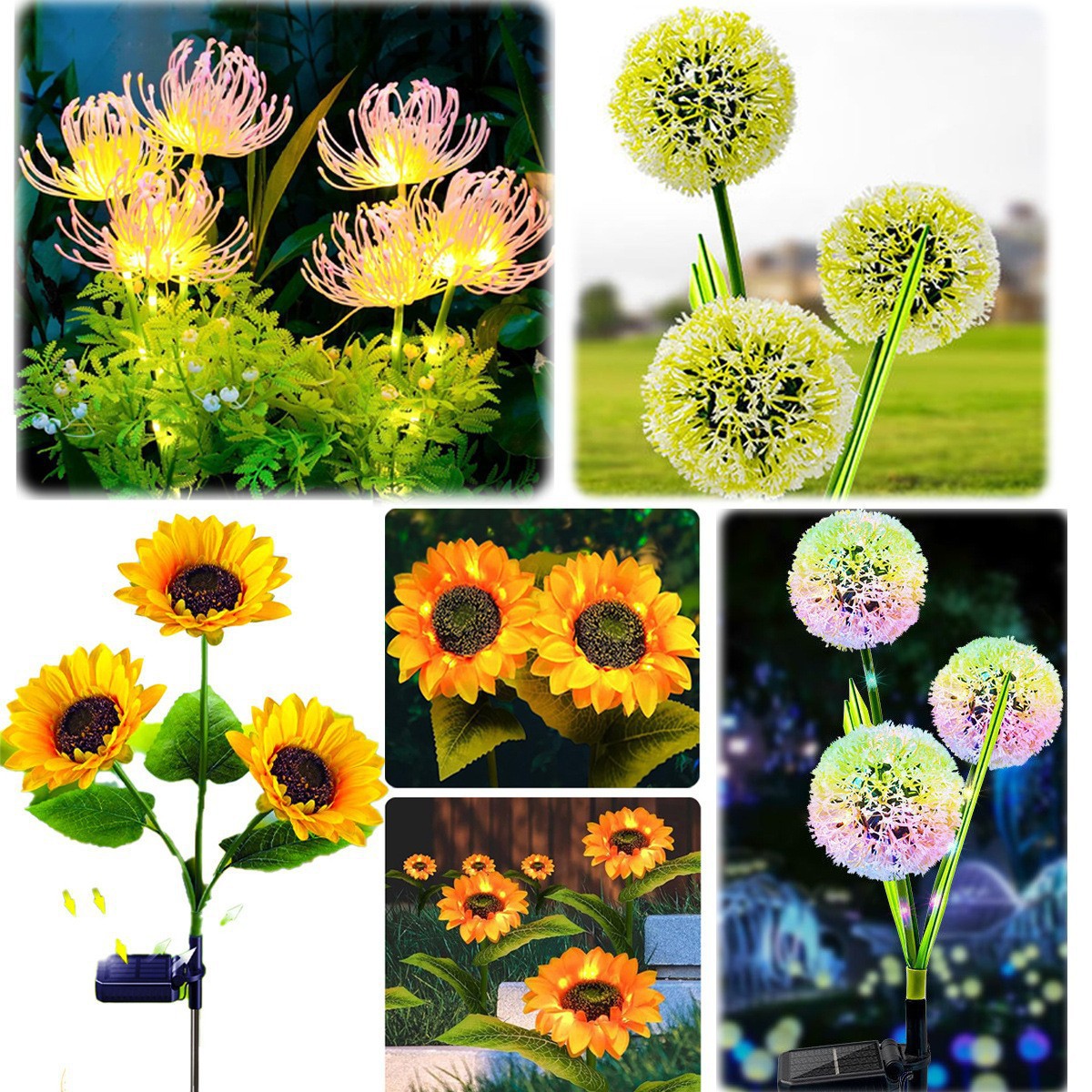 머리가 세 개인 해바라기