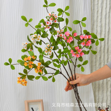 ���浥֧��������С�黨�����ڼ��ٻ�����Ƶ껨��װ�β廨