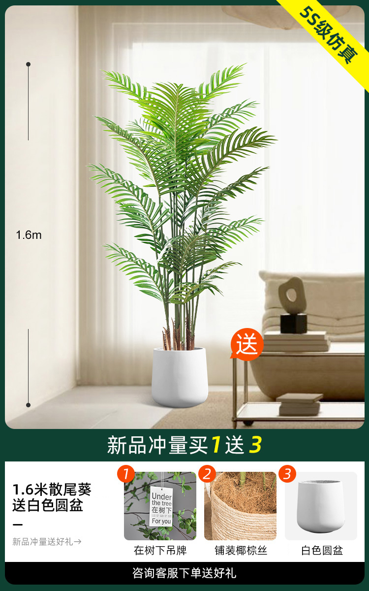 1.6 m 느슨한 말미잘 [흰색 둥근 분지 보내기]]