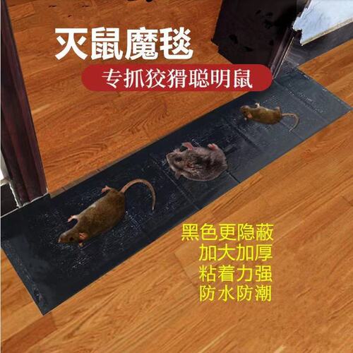 Amazon Maosang King Sticky Mouse Board Mouse Sticker Large Invisible Mouse Killing Magic Carpet Thickened Specially for Catching Big Mouse Can be shipped on behalf of others