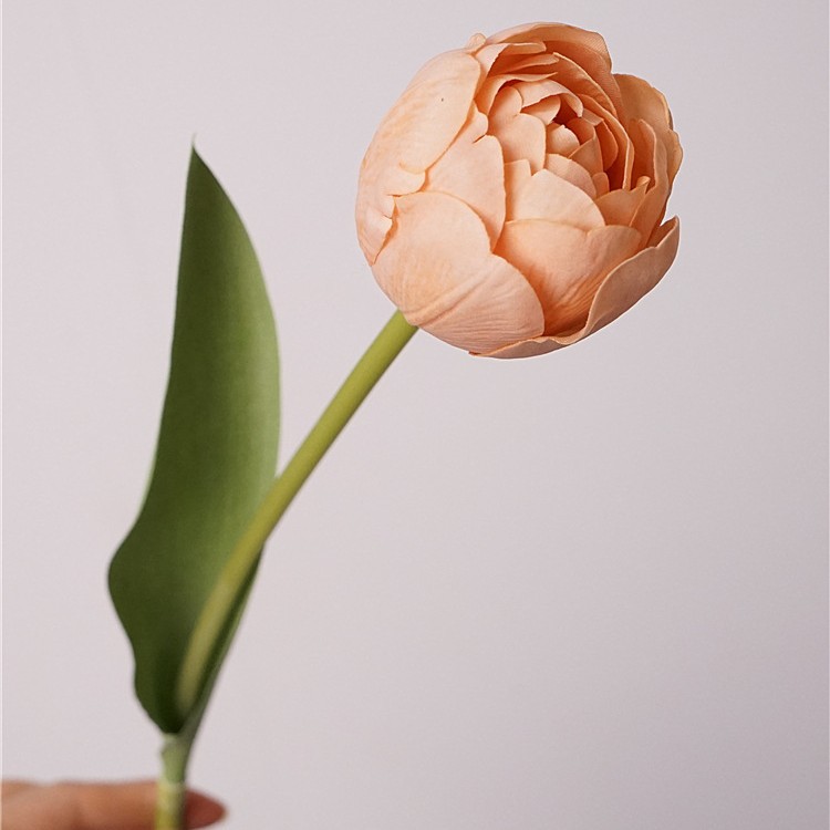 Touch Camellia Tulip-Orange