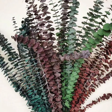 Ȼȼ~ ~XҾbĻˇܛb~ɻ