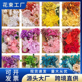 花柬DIY干花材料包滴胶相框团扇蜡烛装饰填充花材永生立体干花包