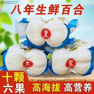 ��؛�m���r�ٺ��m�ݰٺ��r���m�ݰٺ�ʳ����ٺ����r�ٺϸ��C���l