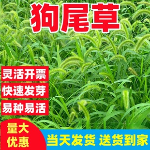 ��β�ݷN�ѵVɽ�;G�ĵؾG���ݷN���ļ������o�¹������}���|����